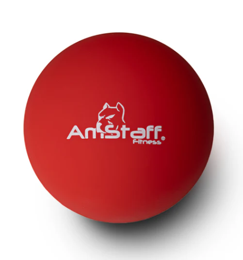 Kit Équilibre Nordik