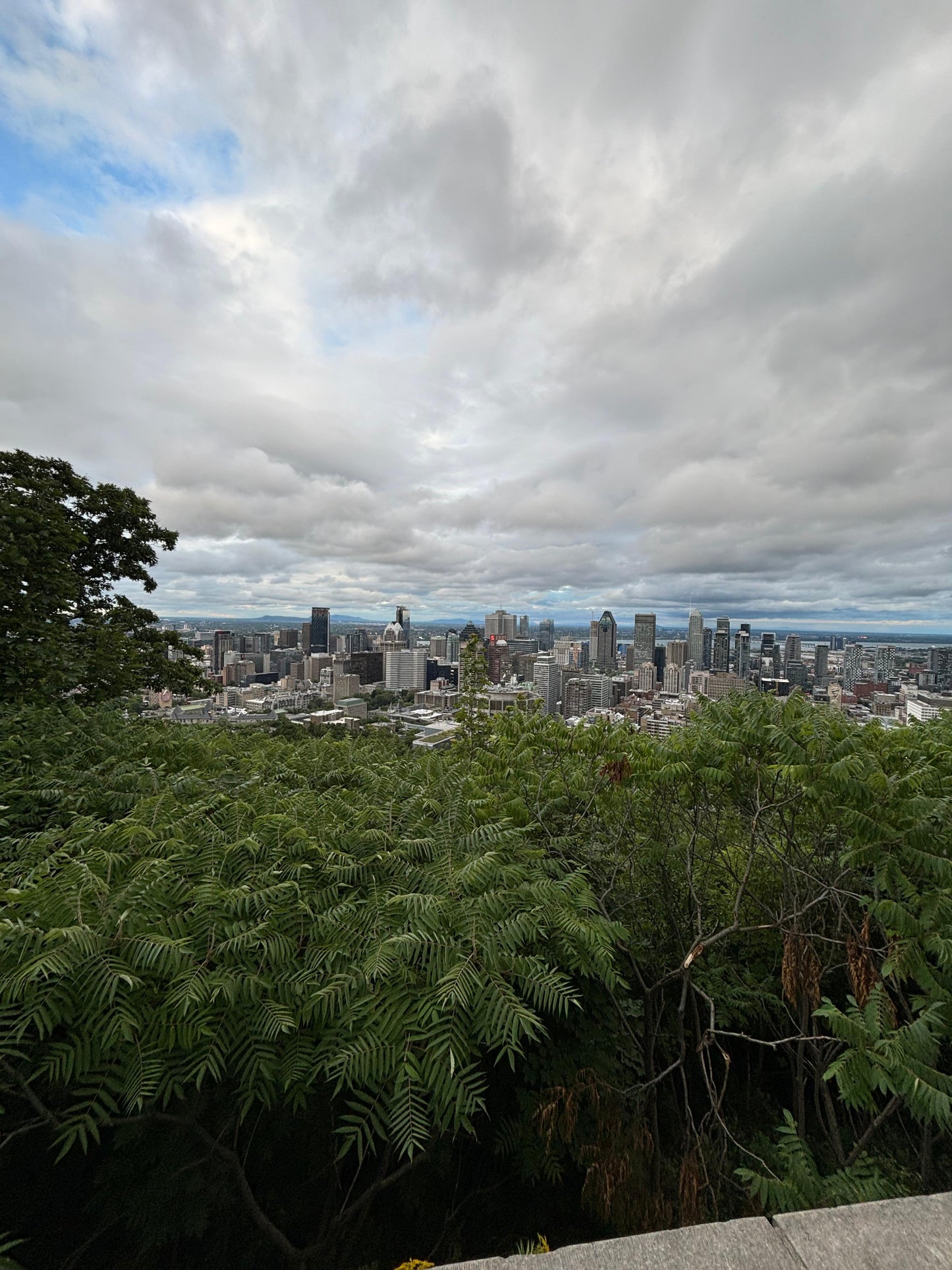 Événement Mont-Royal le 8 juillet à 19h